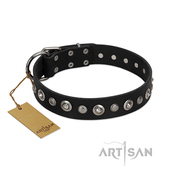 Fine quality genuine leather dog collar with impressive embellishments