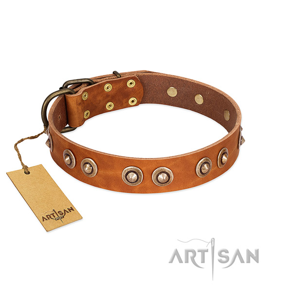 Corrosion proof fittings on full grain genuine leather dog collar for your pet