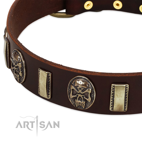 Rust-proof embellishments on genuine leather dog collar for your canine