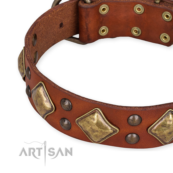 Full grain leather collar with corrosion proof hardware for your impressive dog
