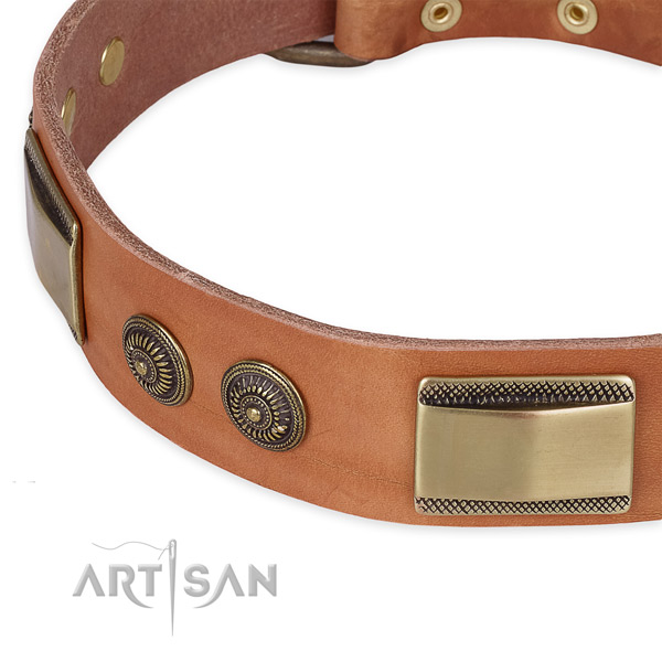 Impressive genuine leather collar for your stylish doggie