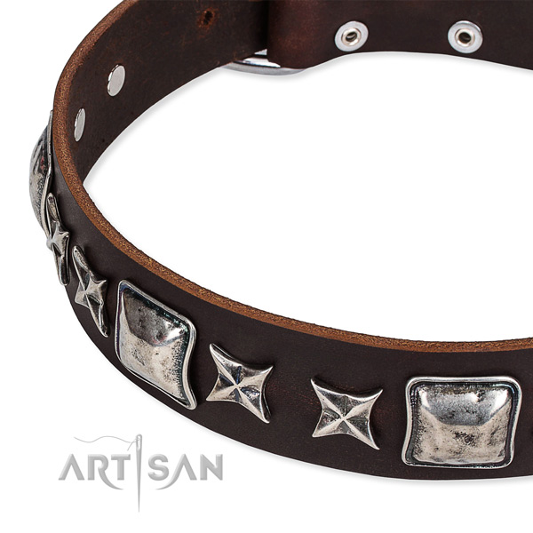 Daily walking adorned dog collar of top notch full grain leather