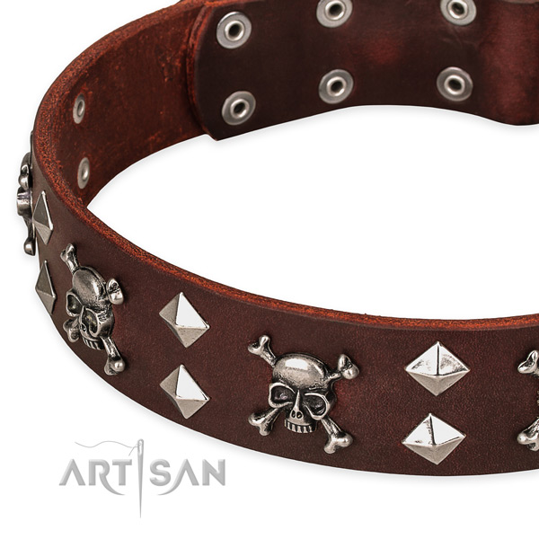 Fancy walking decorated dog collar of best quality natural leather