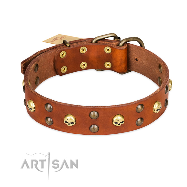 Handy use dog collar of durable leather with decorations