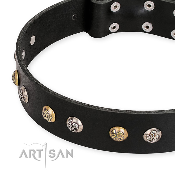 Full grain natural leather dog collar with inimitable reliable decorations