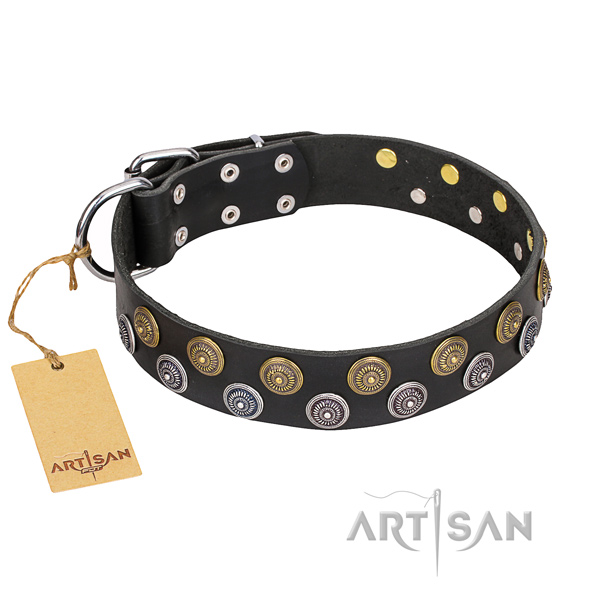Daily use dog collar of durable full grain natural leather with embellishments