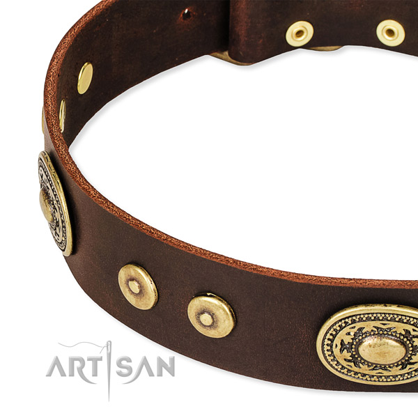 Adorned dog collar made of top rate full grain natural leather