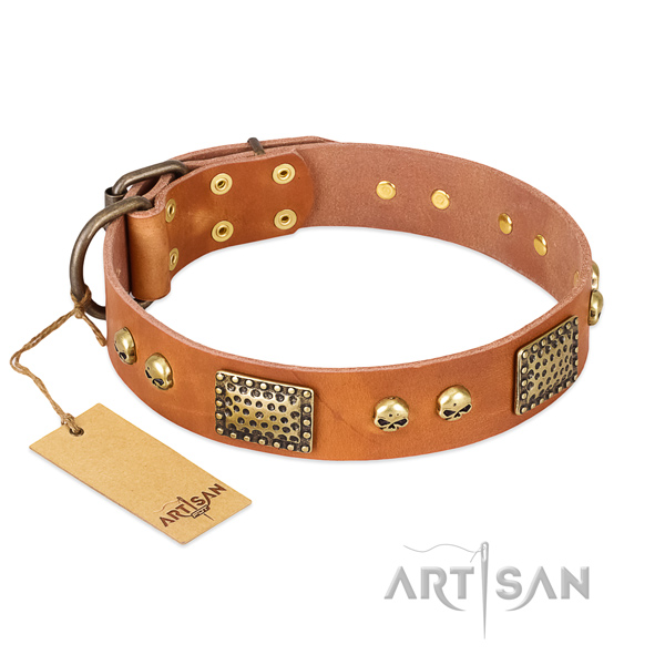 Easy wearing genuine leather dog collar for walking your canine