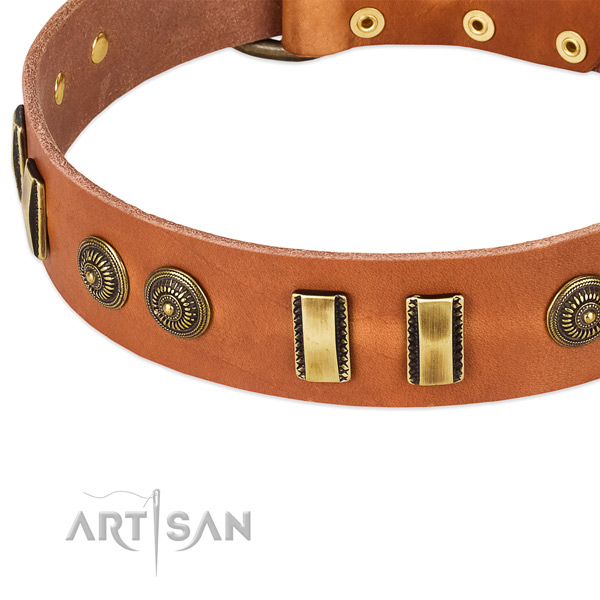 Durable embellishments on leather dog collar for your pet