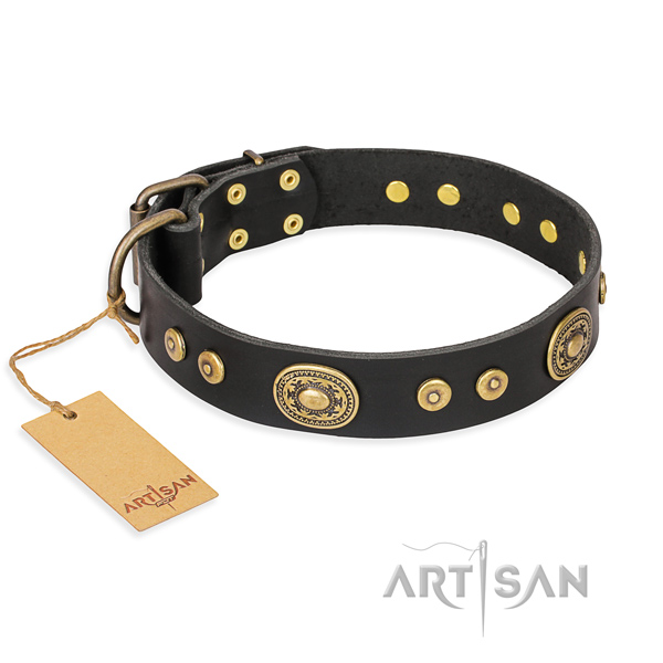 Walking adorned dog collar of top quality full grain genuine leather