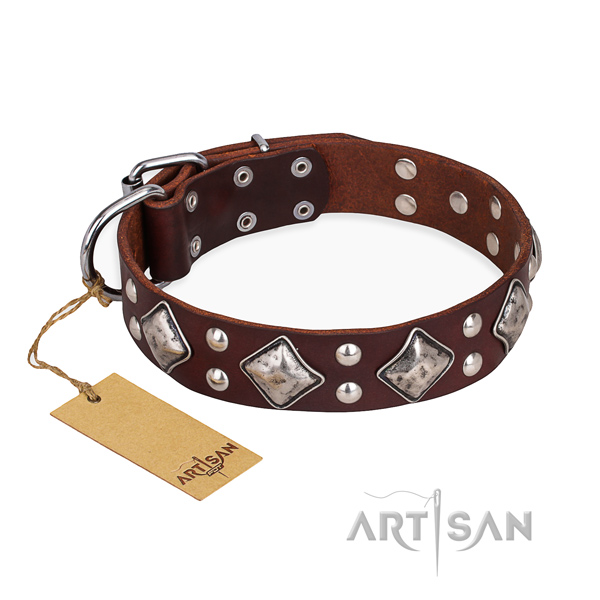 Everyday walking adorned dog collar with corrosion proof hardware