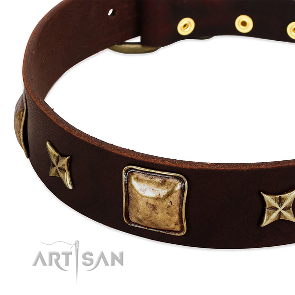 Rust resistant decorations on natural genuine leather dog collar for your dog