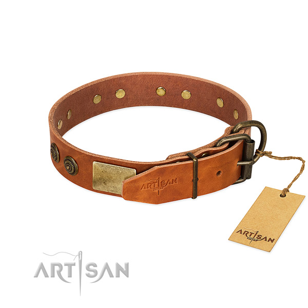 Strong traditional buckle on genuine leather collar for basic training your doggie