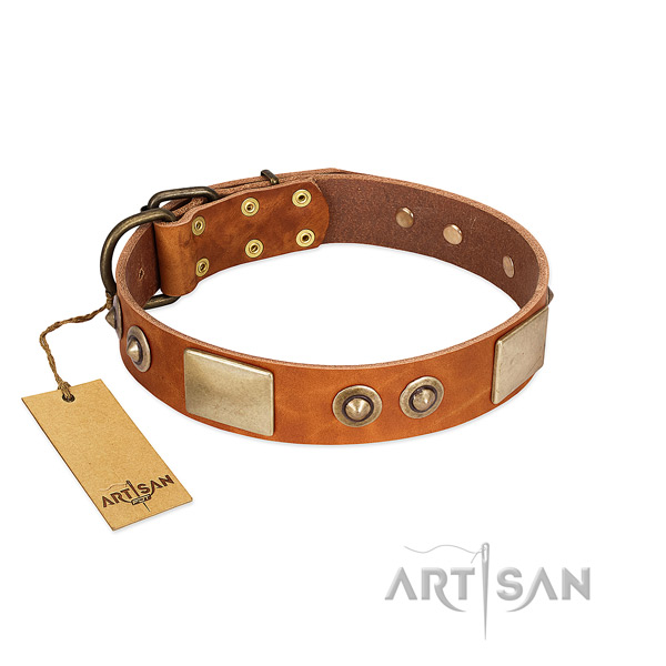 Easy to adjust full grain leather dog collar for everyday walking your canine