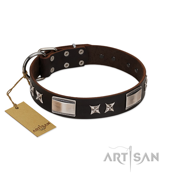 Inimitable dog collar of natural leather