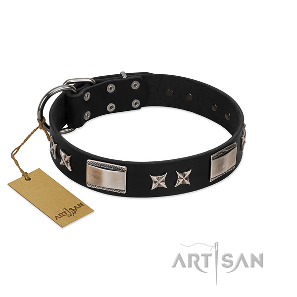 Stylish design dog collar of genuine leather