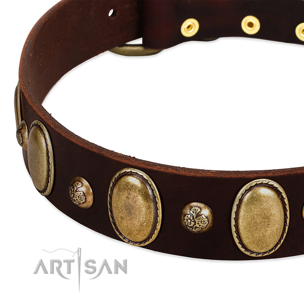 Genuine leather dog collar with trendy studs