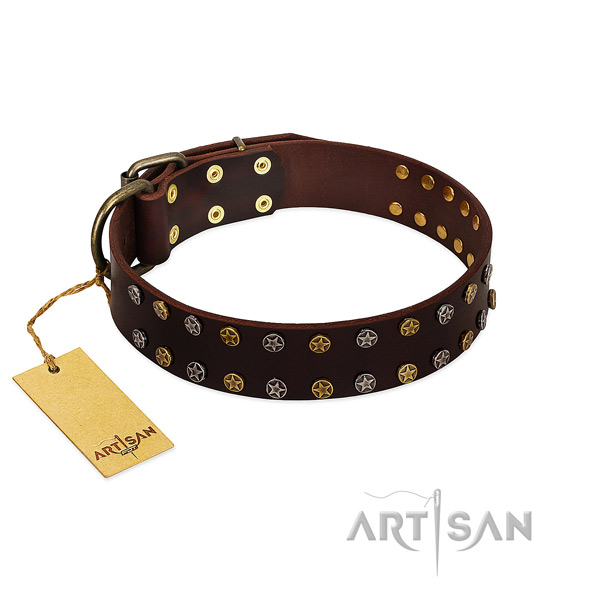 Daily walking top notch natural leather dog collar with embellishments