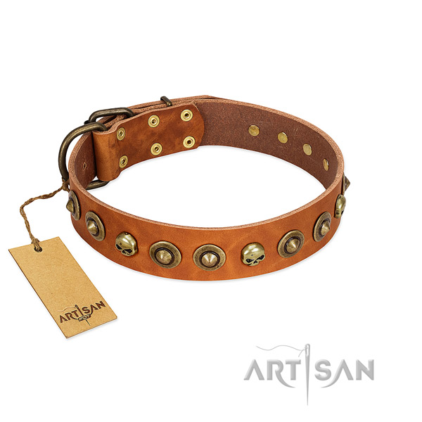 Genuine leather collar with top notch embellishments for your pet