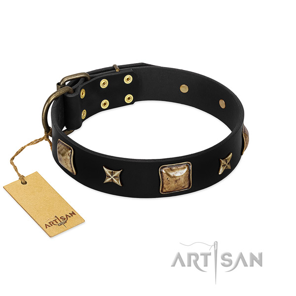 Leather dog collar of soft material with unusual embellishments