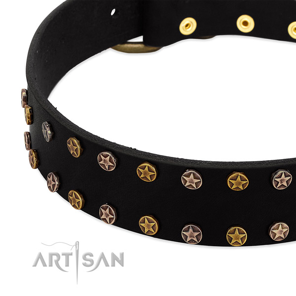 Trendy adornments on full grain natural leather collar for your pet