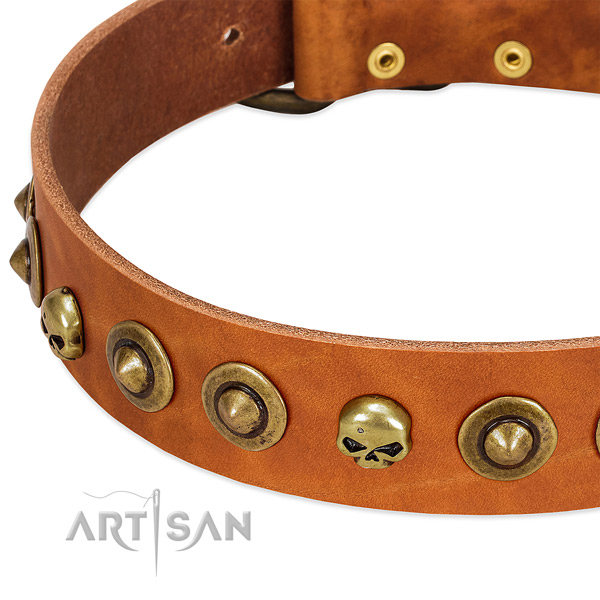 Stunning embellishments on full grain leather collar for your dog