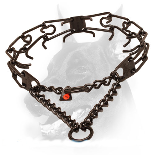 Prong collar of reliable black stainless steel for poorly behaved pets